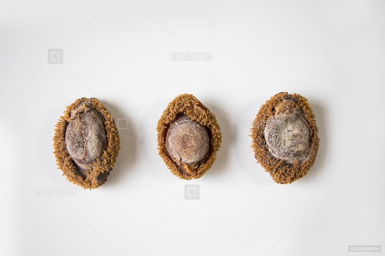當(dāng)鮑魚遇見快干錘紋漆 一場關(guān)于時(shí)間與工業(yè)的迷思